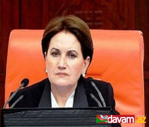 MHP’li Akşener’den Akil insanlara `emekli kedi` benzetmesi