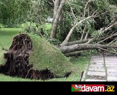 Tayvanda güclü qasırğa dağıntılara səbəb olub