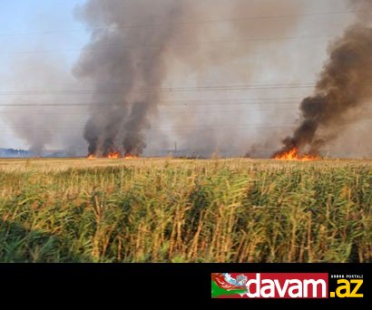 Fövqəladə Hallar Nazirliyi Şamaxıda baş vermiş yanğınla bağlı məlumat yayıb