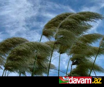 İstirahət günü Bakıda güclü şimal küləyi davam edəcək