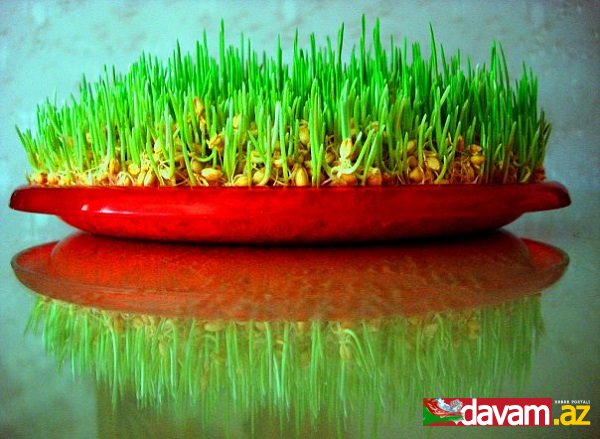 NOVRUZ BAYRAMI