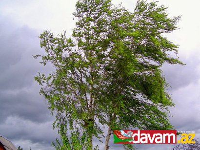 Bakıda güclü şimal küləyi əsəcək