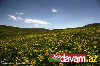 Güney Azərbaycanın dilbər guşələri silsiləsindən Meşginşəhr bölgəsi fotolarda