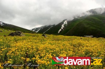 Güney Azərbaycanın dilbər guşələri silsiləsindən Meşginşəhr bölgəsi fotolarda