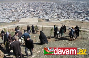 Kürd terrorizmi yanlıları ağac əkmək bəhanəsi ilə toplaşdılar (Fotolar)