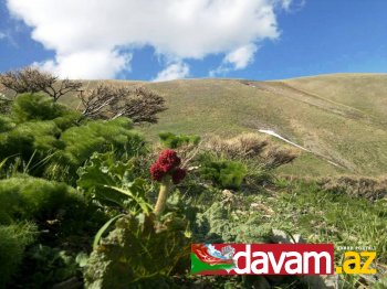 Urmiyanın füsunkar təbiəti GÖRÜNTÜLƏRDƏ