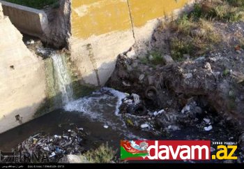 Acı çayın acınacaqlı vəziyyətindən GÖRÜNTÜLƏR