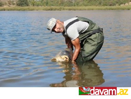 Güney Azərbaycanda daha bir göl qurumaq təhlükəsi qarşısında