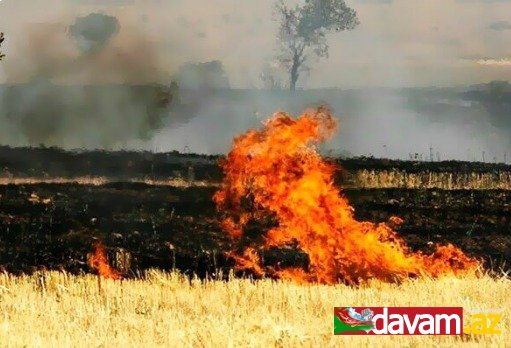 Güney Azərbaycanın Muğan bölgəsində yanğınlar baş verib