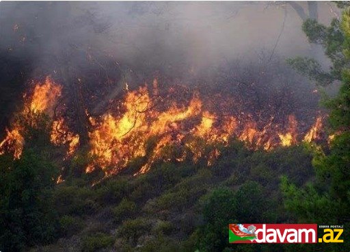 Qaradağ meşələrində yanğın baş verib