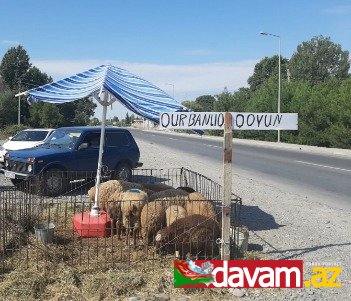 Ağdaşda heyvanların satışı və kəsimi ilə qanunsuz məşğul olan şəxs müəyyən edilib