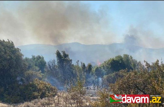 Türkiyədə 14 meşə yanğını baş verib